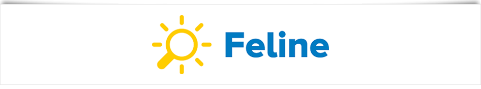 Logo Feline Holidays
